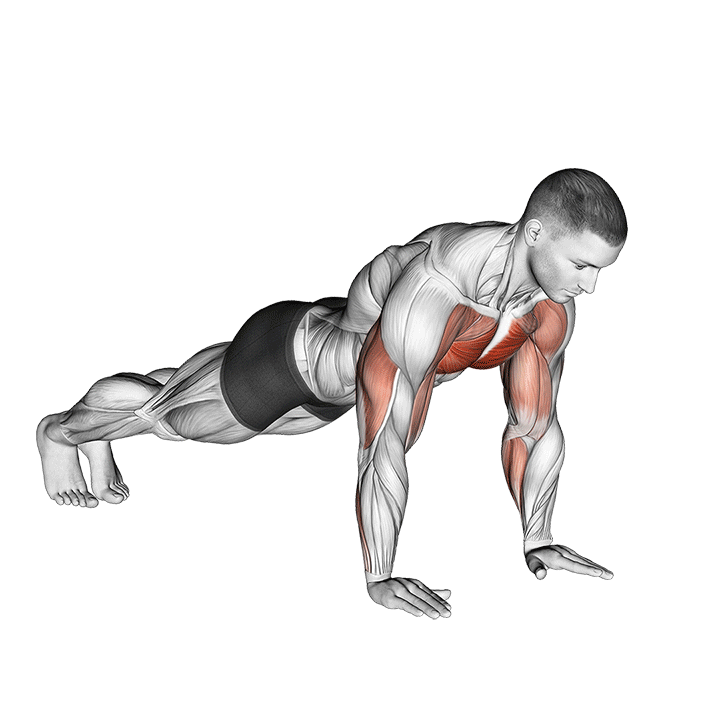 شنا انفجاری (Plyometric Push Ups) — حرکت سینه (آموزش تصویری)
