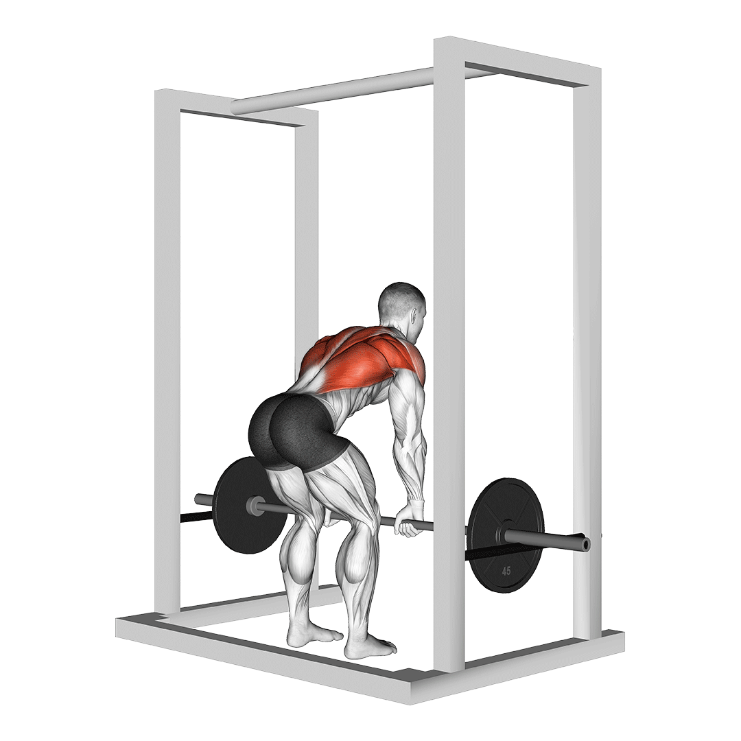 زیربغل هالتر در پاور رک (Power Rack Row) — حرکت زیربغل (آموزش تصویری)