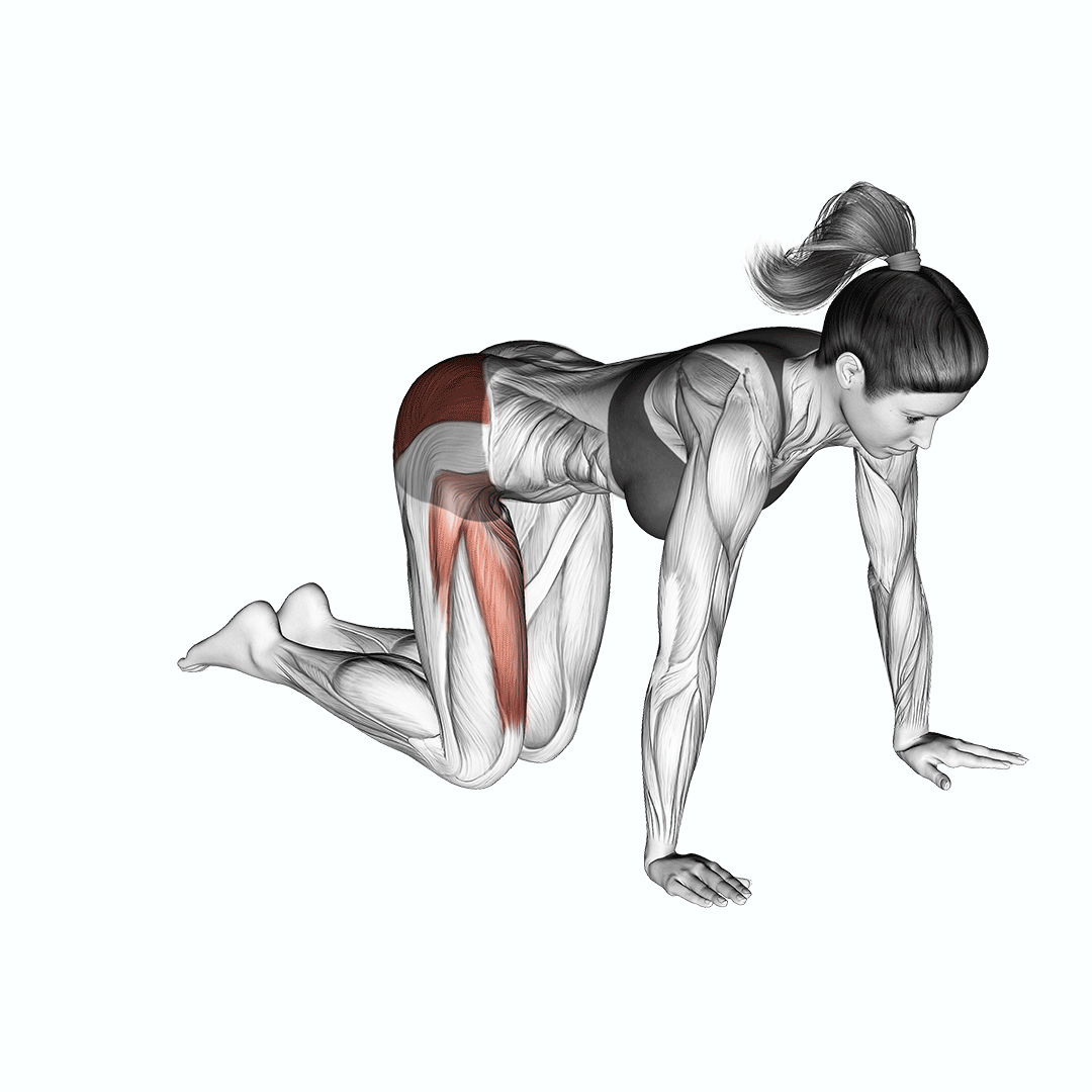 چرخش لگن خوابیده (Prone Hip Circle) — حرکت باسن (آموزش تصویری)