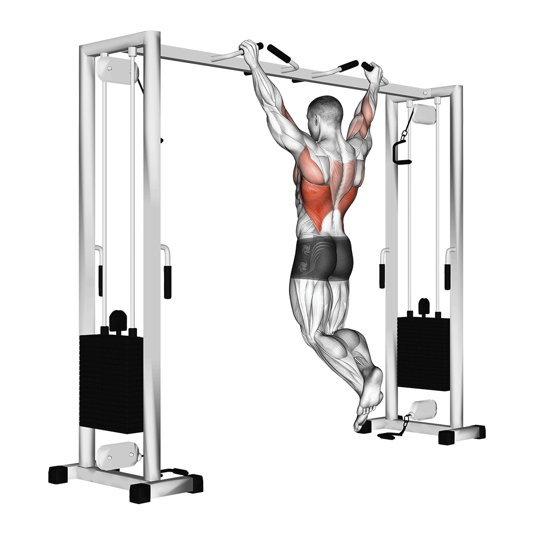 بارفیکس (Pull Up) — حرکت زیربغل (آموزش تصویری)
