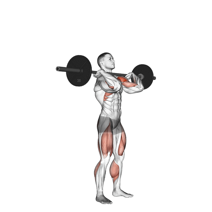 پوش پرس (Push Press) — حرکت سرشانه (آموزش تصویری)