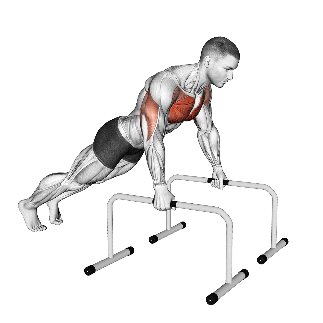 شنا سوئدی با دسته (Push Up Bars) — حرکت سینه (آموزش تصویری)