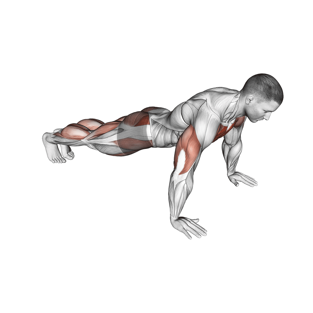 شنا پروانه (Push Up Jack Muscles) — حرکت کل بدن (آموزش تصویری)