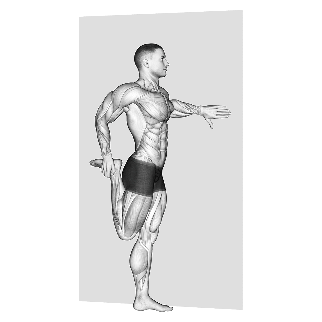 کشش چهارسر (Quadriceps Stretch) — حرکت چهارسر (آموزش تصویری)