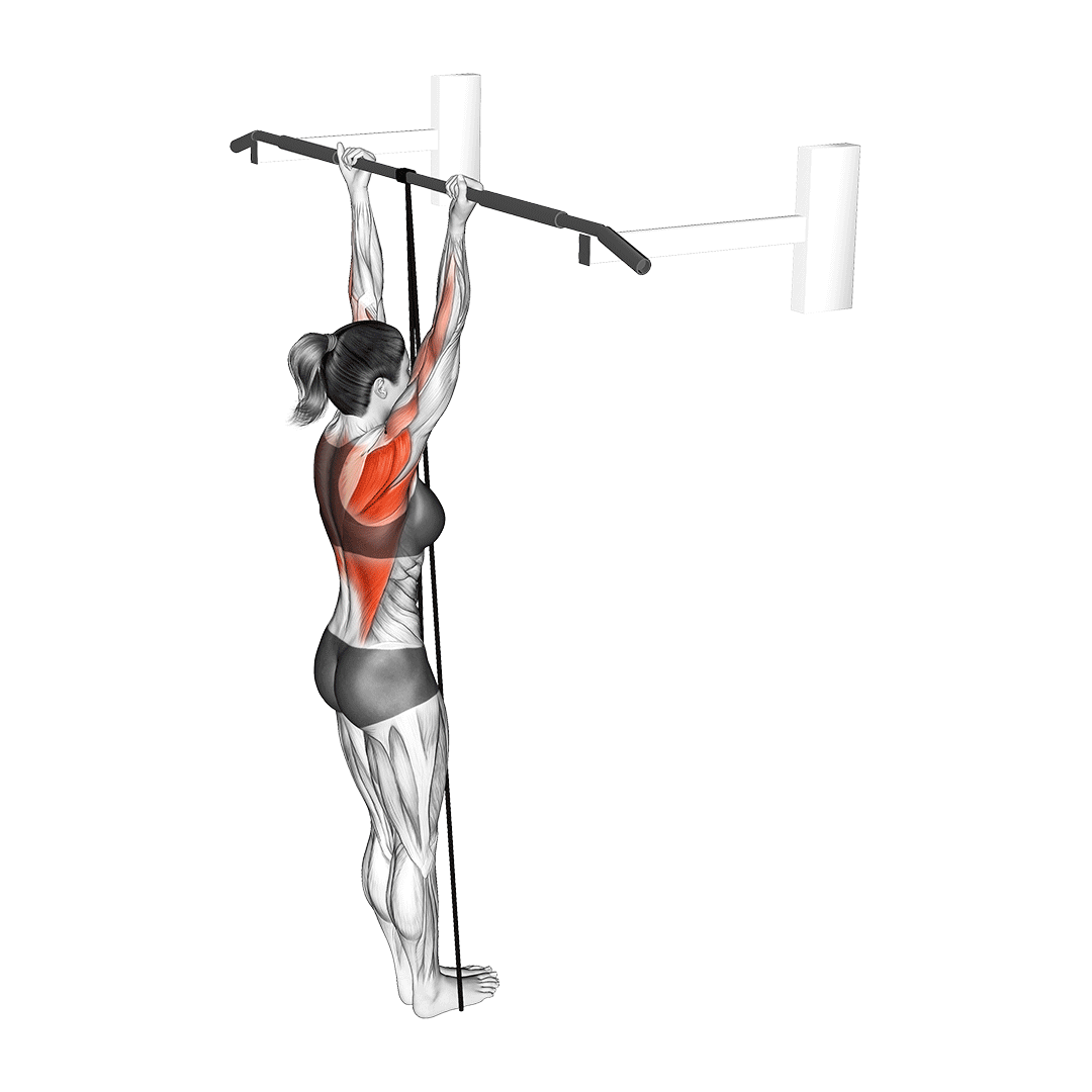 بارفیکس کمکی با کش (Resistance Band Assisted Chin Ups) — حرکت زیربغل (آموزش تصویری)