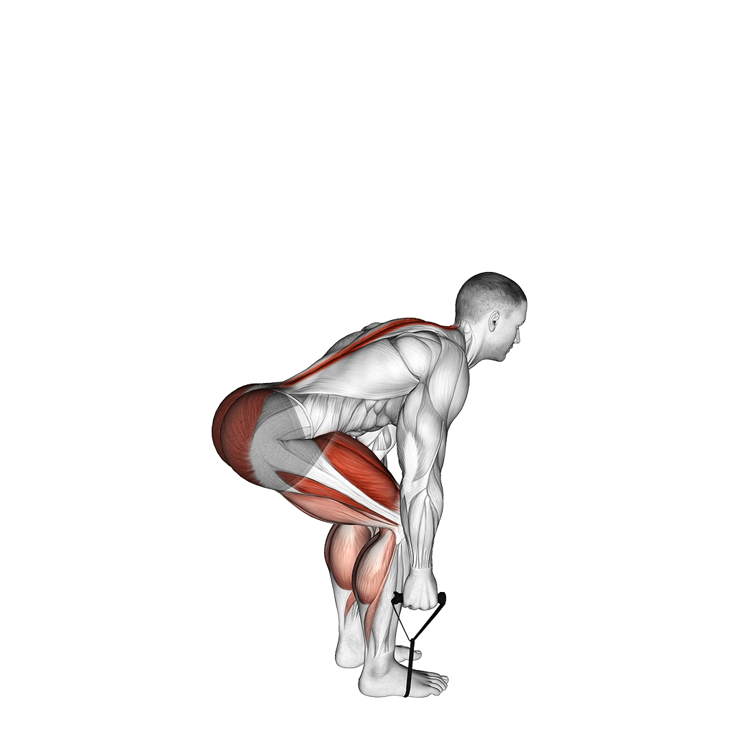 ددلیفت با کش (Resistance Band Deadlift) — حرکت همسترینگ (آموزش تصویری)
