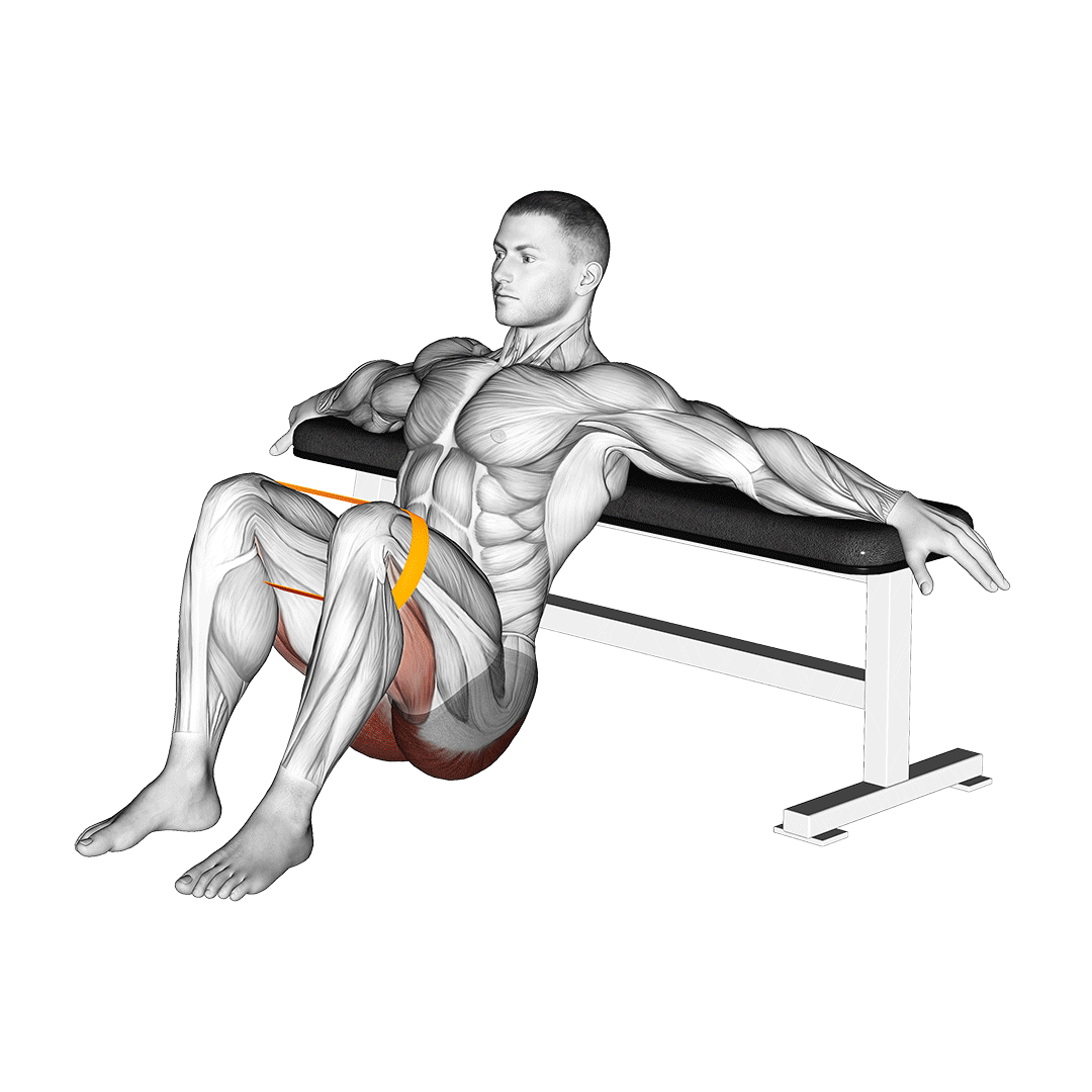 هیپ تراست با کش (Resistance Band Hip Thrust) — حرکت باسن (آموزش تصویری)