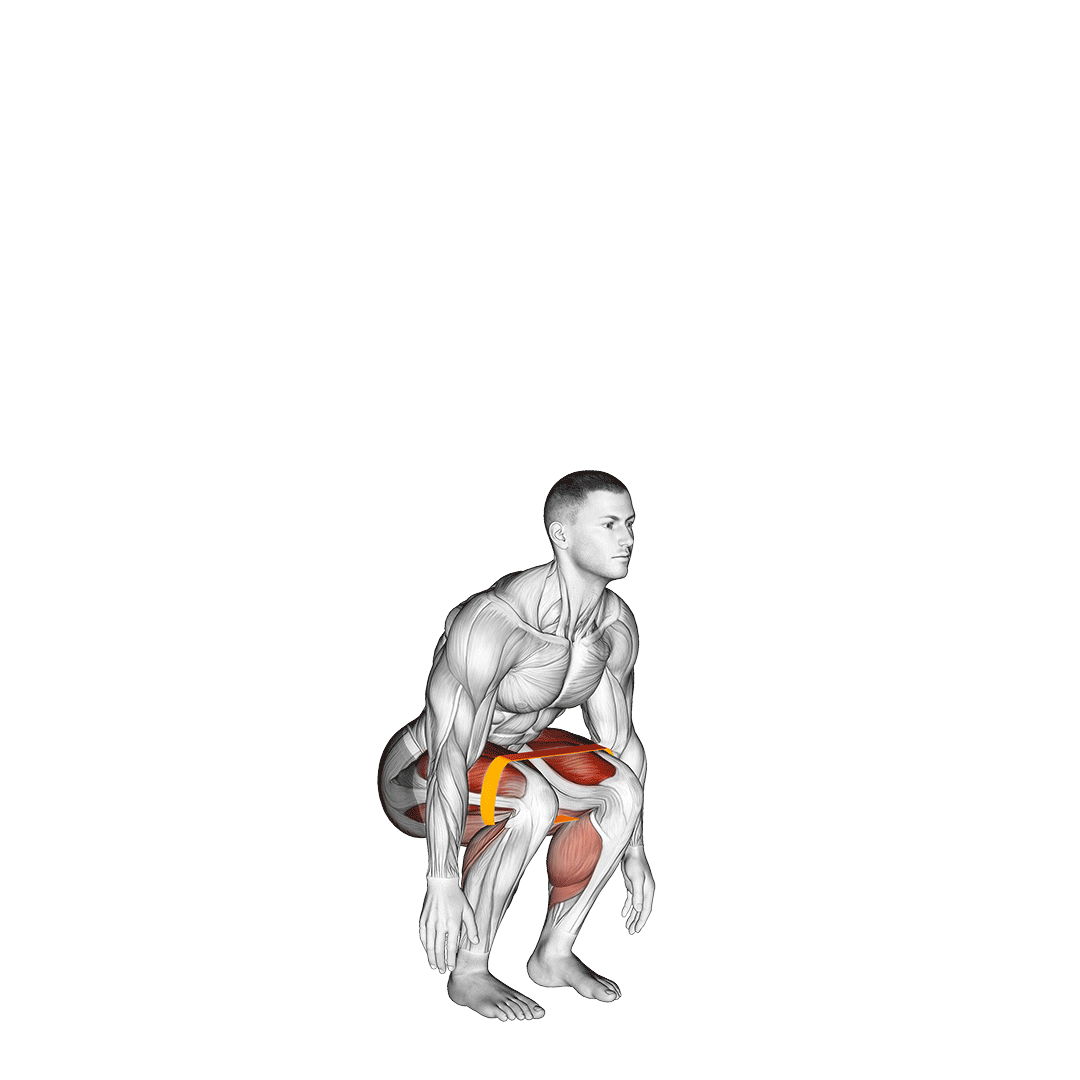 اسکوات پرشی با کش (Resistance Band Jump Squats) — حرکت چهارسر (آموزش تصویری)