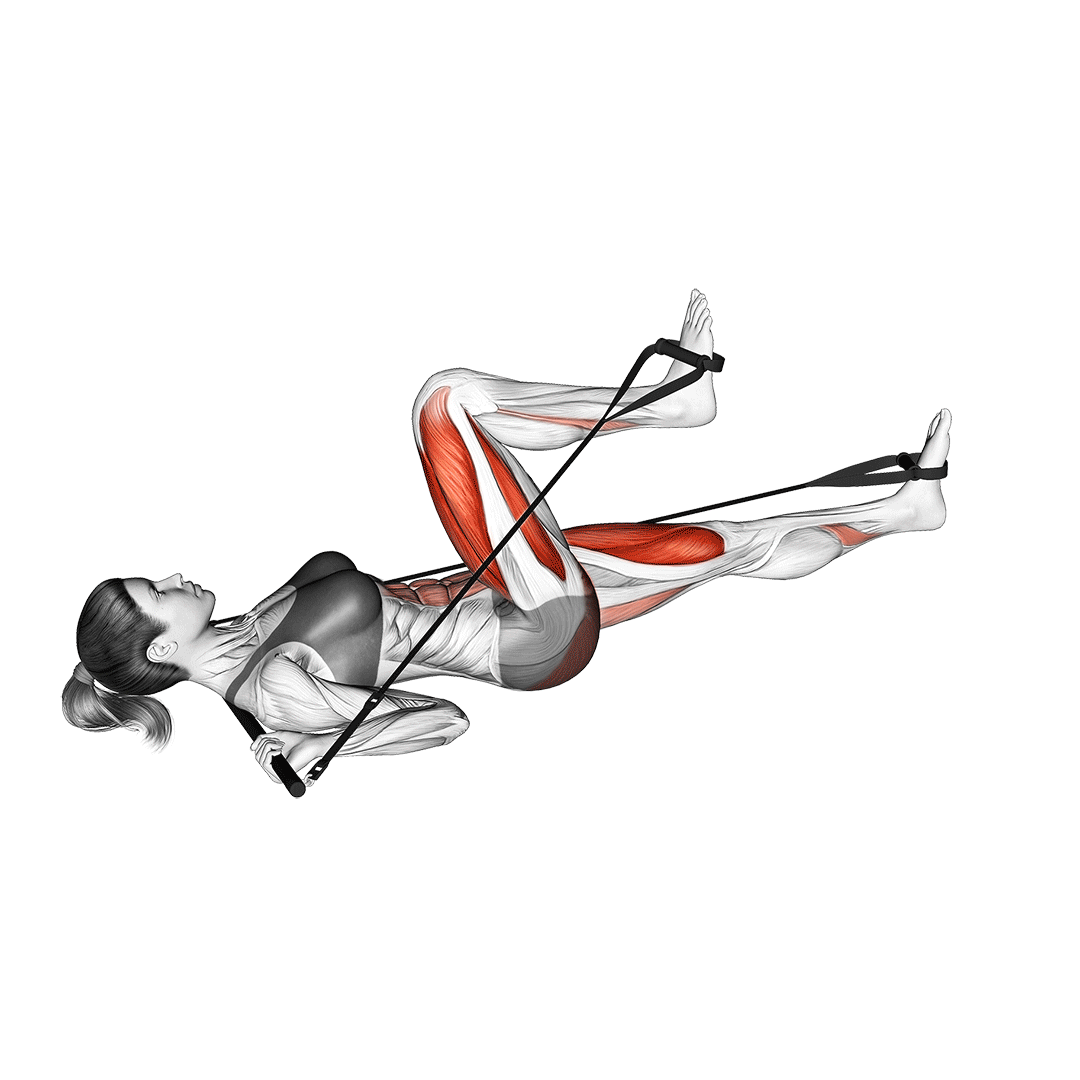 پرس پا با کش (Resistance Band Leg Press) — حرکت چهارسر (آموزش تصویری)