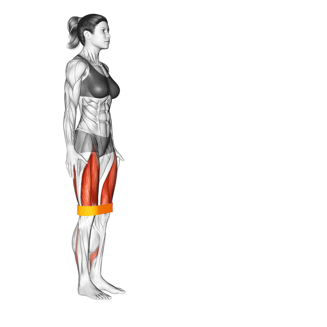 لانژ با کش (Resistance Band Lunge) — حرکت چهارسر (آموزش تصویری)