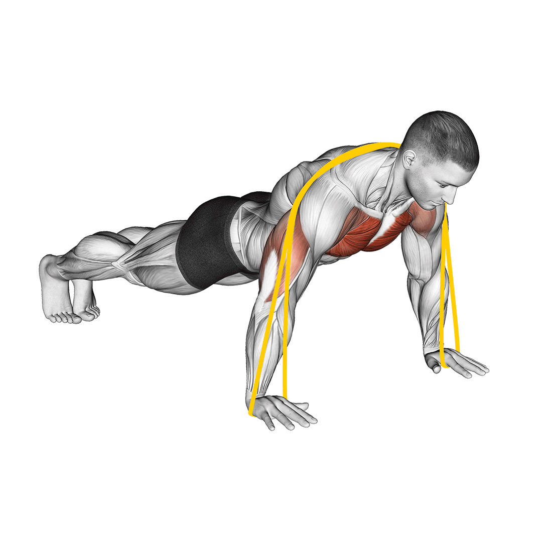 شنا با کش (Resistance Band Push Ups) — حرکت سینه (آموزش تصویری)
