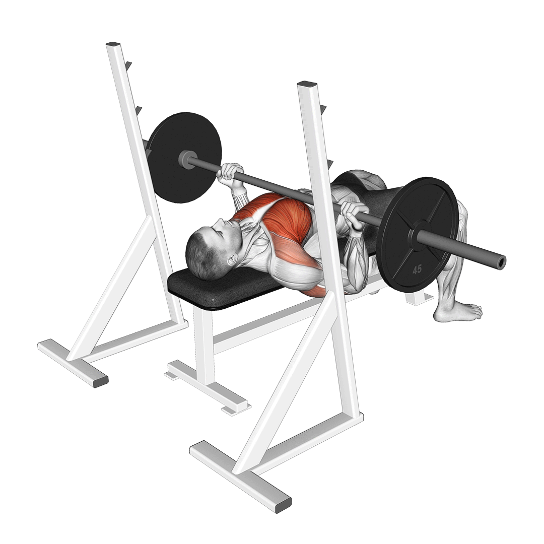 پرس سینه دست معکوس (Reverse Grip Bench Press) — حرکت سینه (آموزش تصویری)