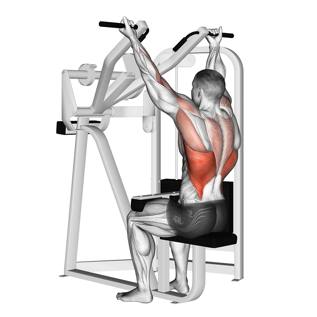 زیربغل سیمکش مچ برعکس (Reverse Grip Pulldown) — حرکت زیربغل (آموزش تصویری)