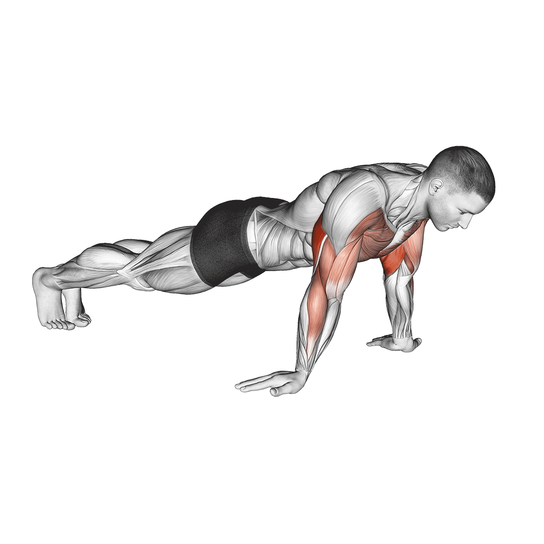 شنا دست معکوس (Reverse Grip Push Ups) — حرکت جلوبازو (آموزش تصویری)