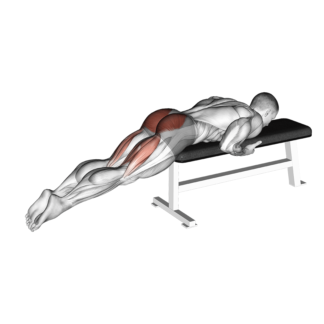 فیله کمر معکوس روی میز (Reverse Hyperextension On Bench) — حرکت فیله (آموزش تصویری)