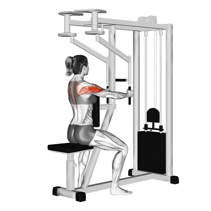 فلای معکوس دستگاه (Reverse Pec Dec Machine) — حرکت سرشانه (آموزش تصویری)