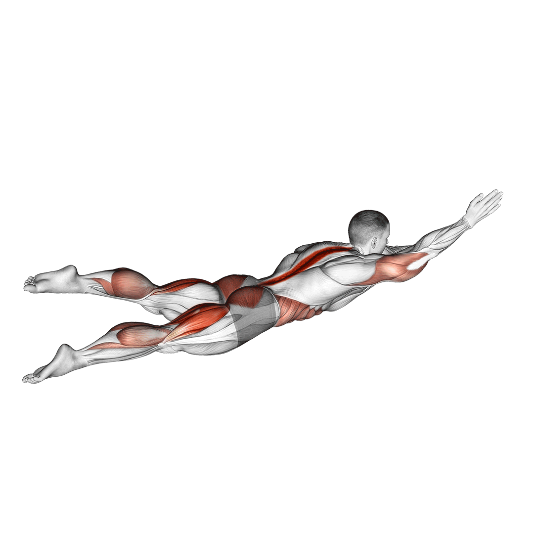 شناگر معکوس (Reverse Swimmers) — حرکت فیله (آموزش تصویری)