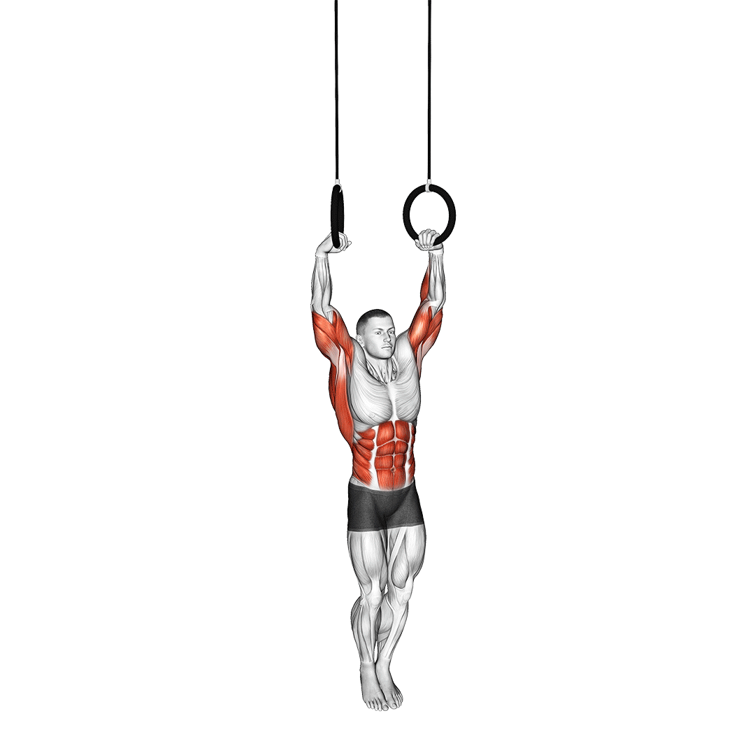 ماسلآپ حلقهای (Ring Muscle Up) — حرکت کل بدن (آموزش تصویری)