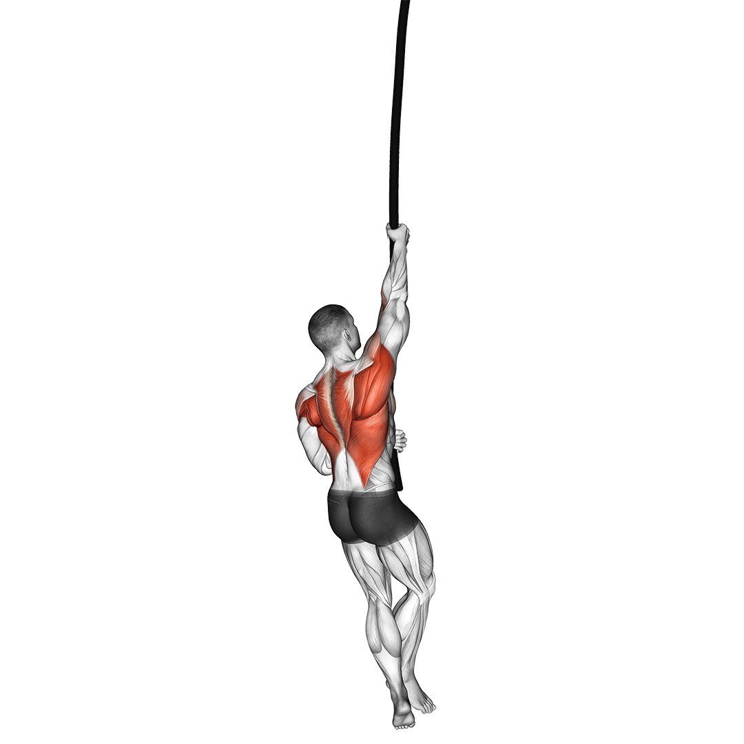 طناب‌نوردی (Rope Climb) — حرکت زیربغل (آموزش تصویری)
