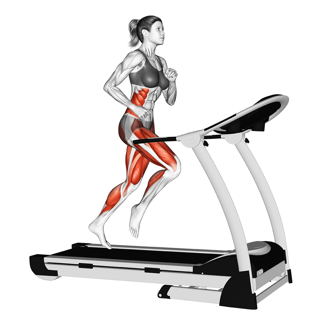 دویدن روی تردمیل (Treadmill Run) — حرکت هوازی (آموزش تصویری)