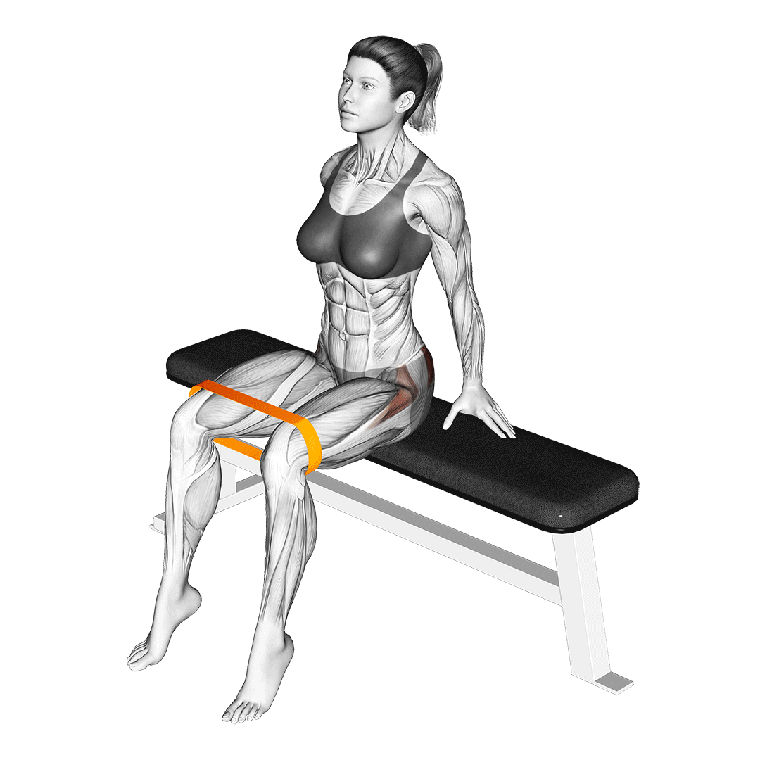 دور کردن پا با کش نشسته (Seated Band Hip Abduction) — حرکت باسن (آموزش تصویری)