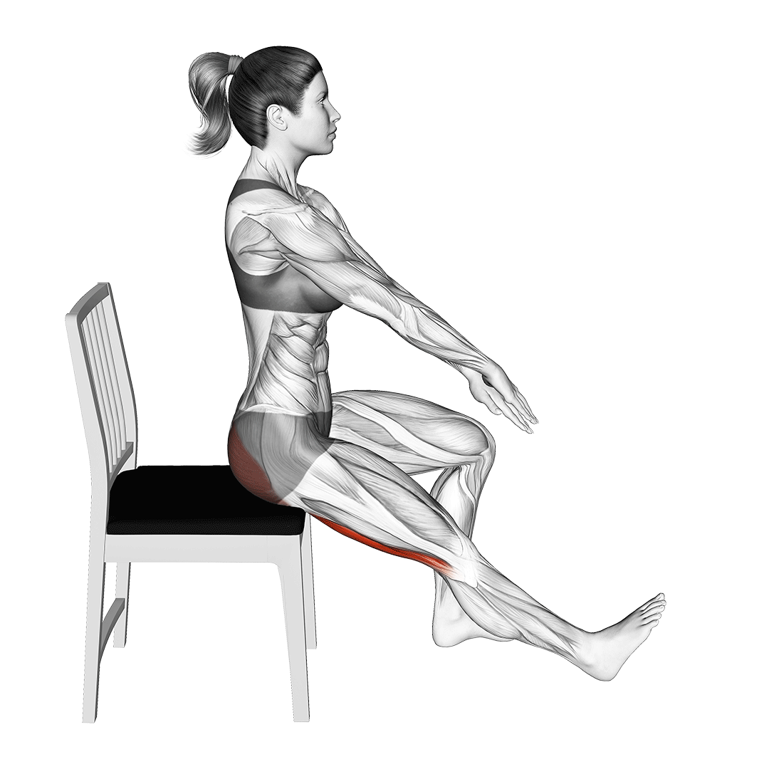 کشش همسترینگ نشسته (Seated Hamstring Stretch) — حرکت همسترینگ (آموزش تصویری)