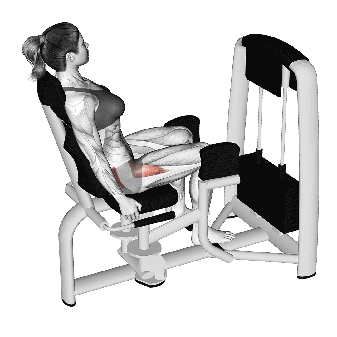 دور کردن پا نشسته (Seated Hip Abduction) — حرکت باسن (آموزش تصویری)
