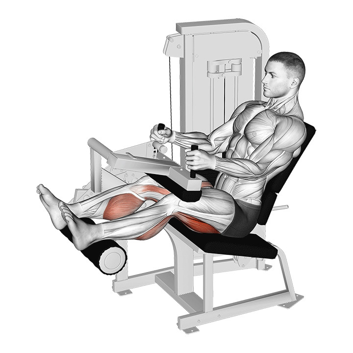 پشت پا دستگاه نشسته (Leg Curl) — حرکت همسترینگ (آموزش تصویری)