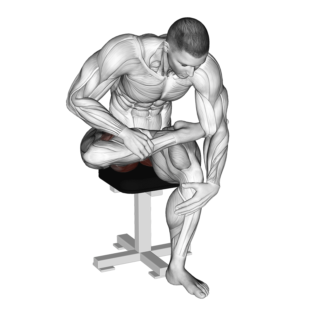 کشش پیریفورمیس نشسته (Seated Piriformis Stretch) — حرکت باسن (آموزش تصویری)
