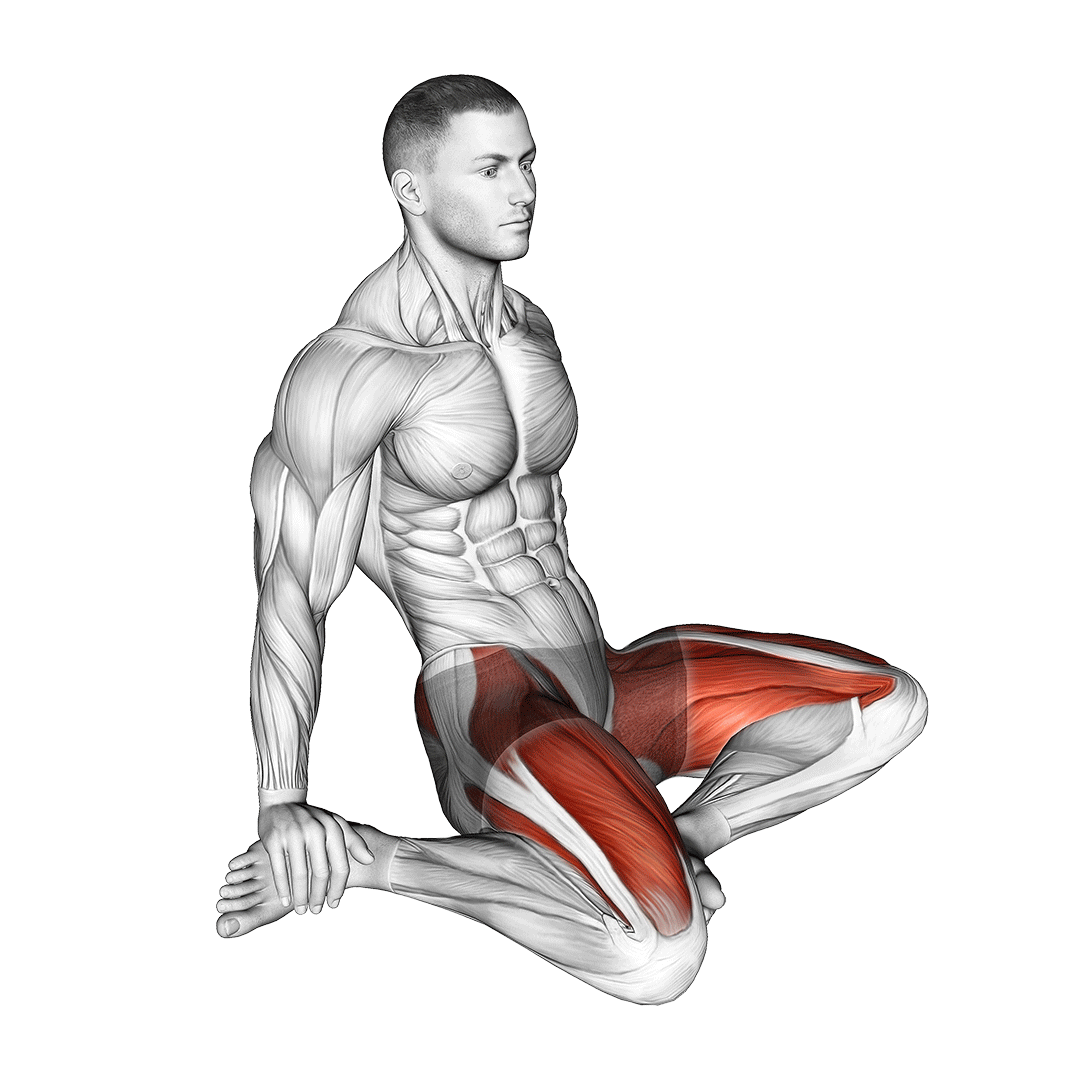 کشش چهارسر نشسته (Seated Quad Stretch) — حرکت چهارسر (آموزش تصویری)