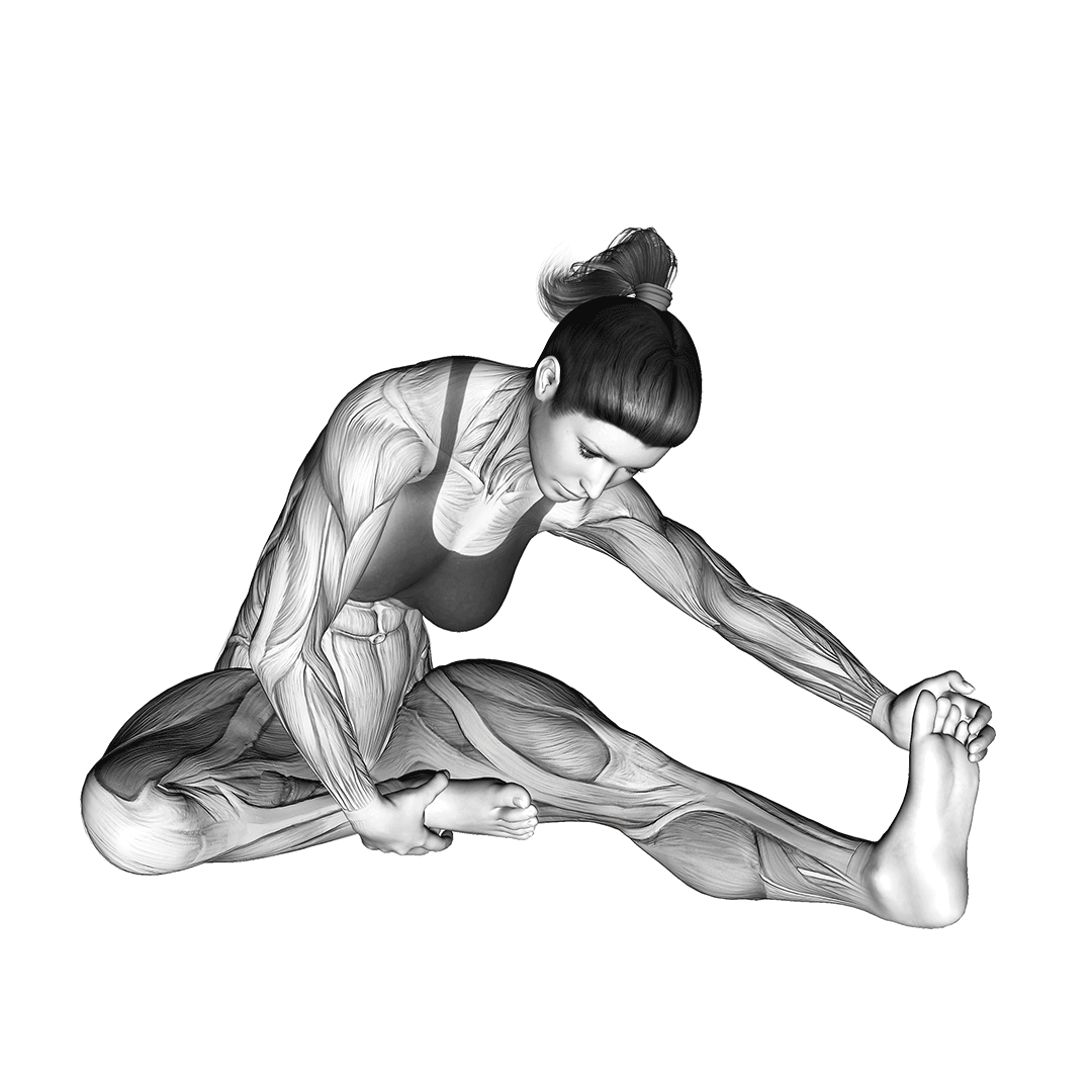 کشش همسترینگ تکپا نشسته (Seated Single Leg Hamstring Stretch) — حرکت همسترینگ (آموزش تصویری)