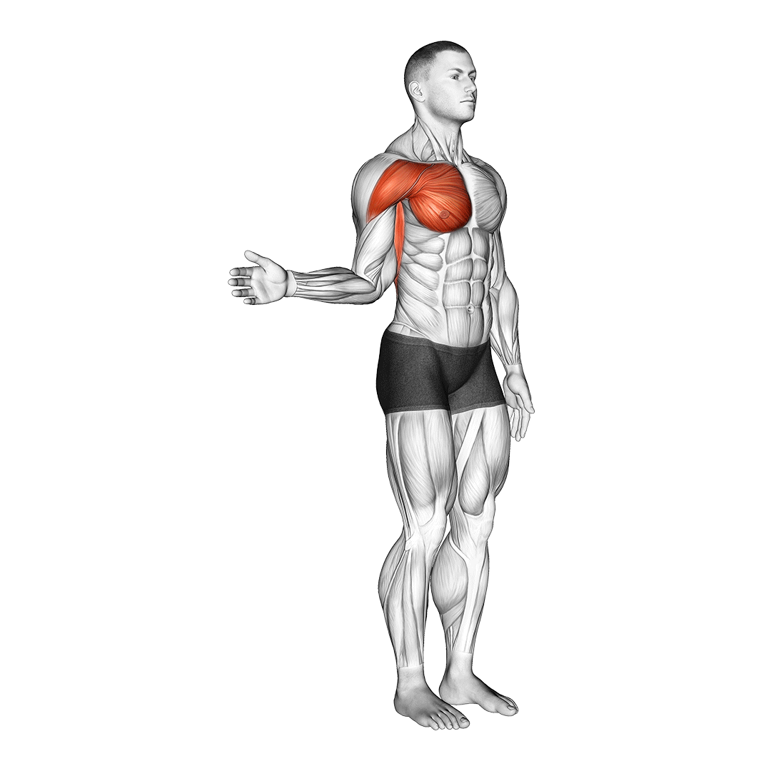 کشش چرخش داخلی سرشانه (Shoulder Internal Rotation Stretch) — حرکت سرشانه (آموزش تصویری)