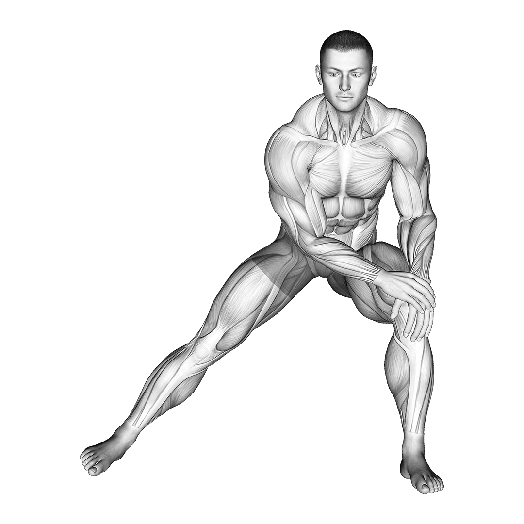 کشش لانژ پهلو (Side Lunge Stretch) — حرکت چهارسر (آموزش تصویری)