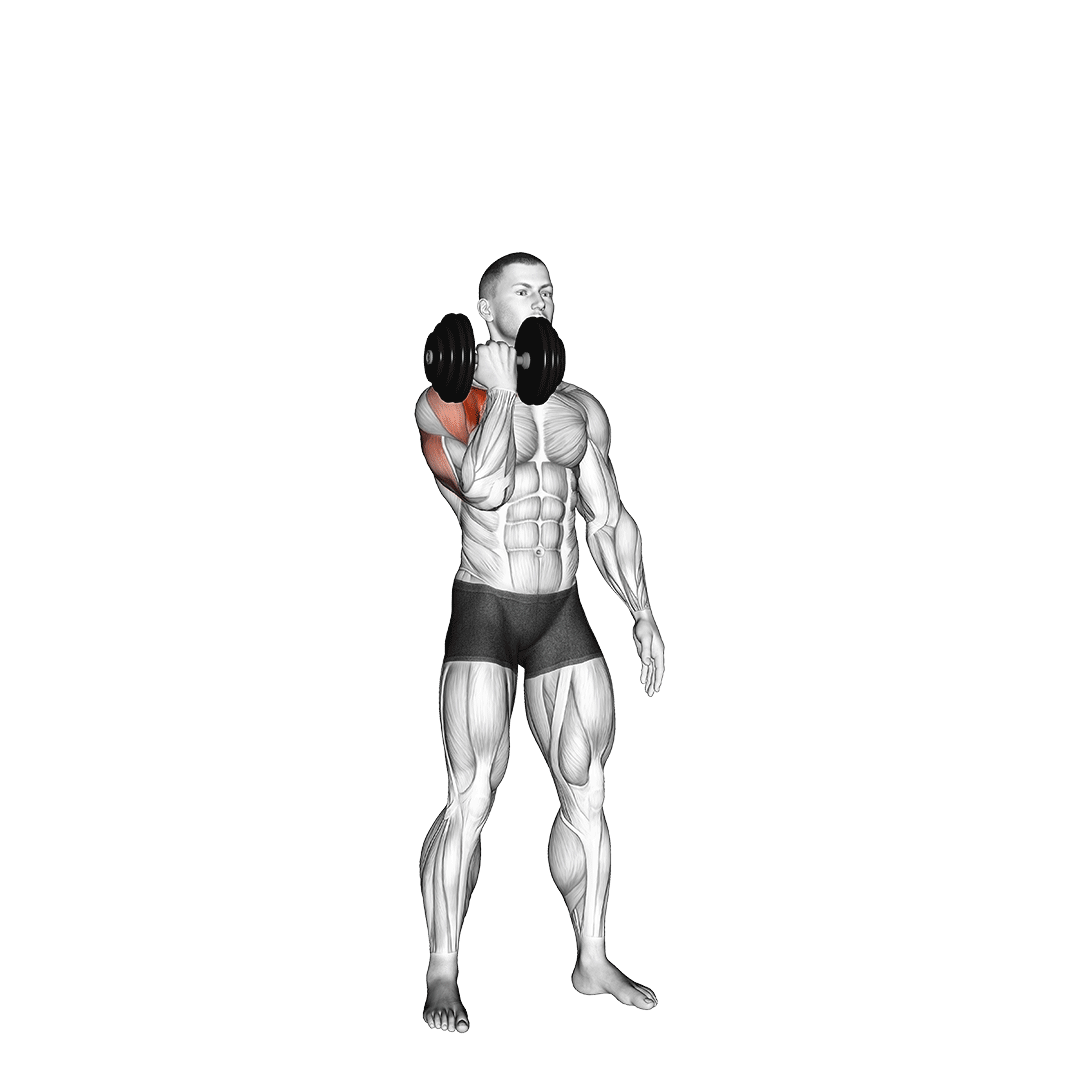 پرس آرنولدی تک‌دست (Single Arm Arnold Press) — حرکت سرشانه (آموزش تصویری)