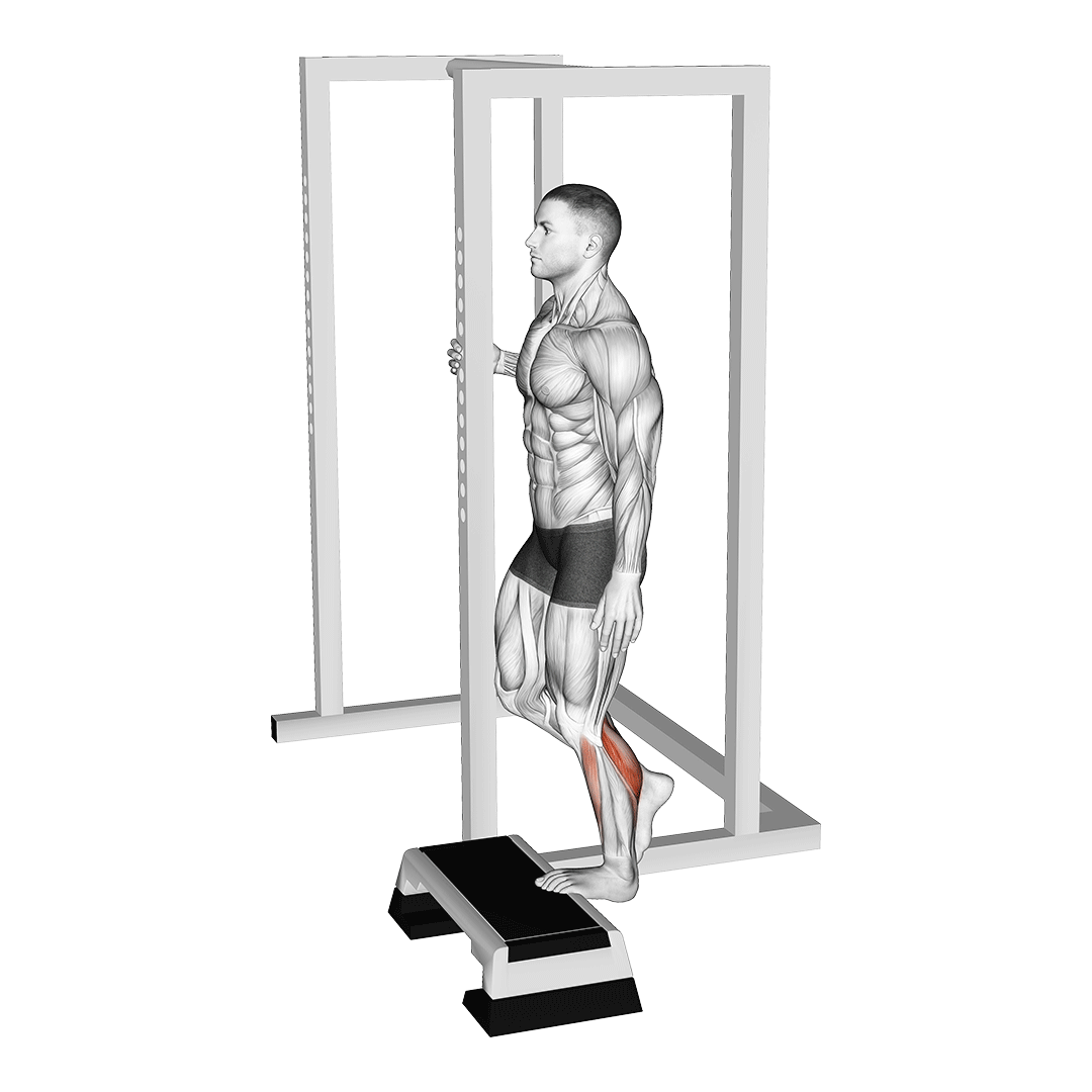 ساق پا تک‌پا (Single Leg Calf Raise) — حرکت ساق (آموزش تصویری)