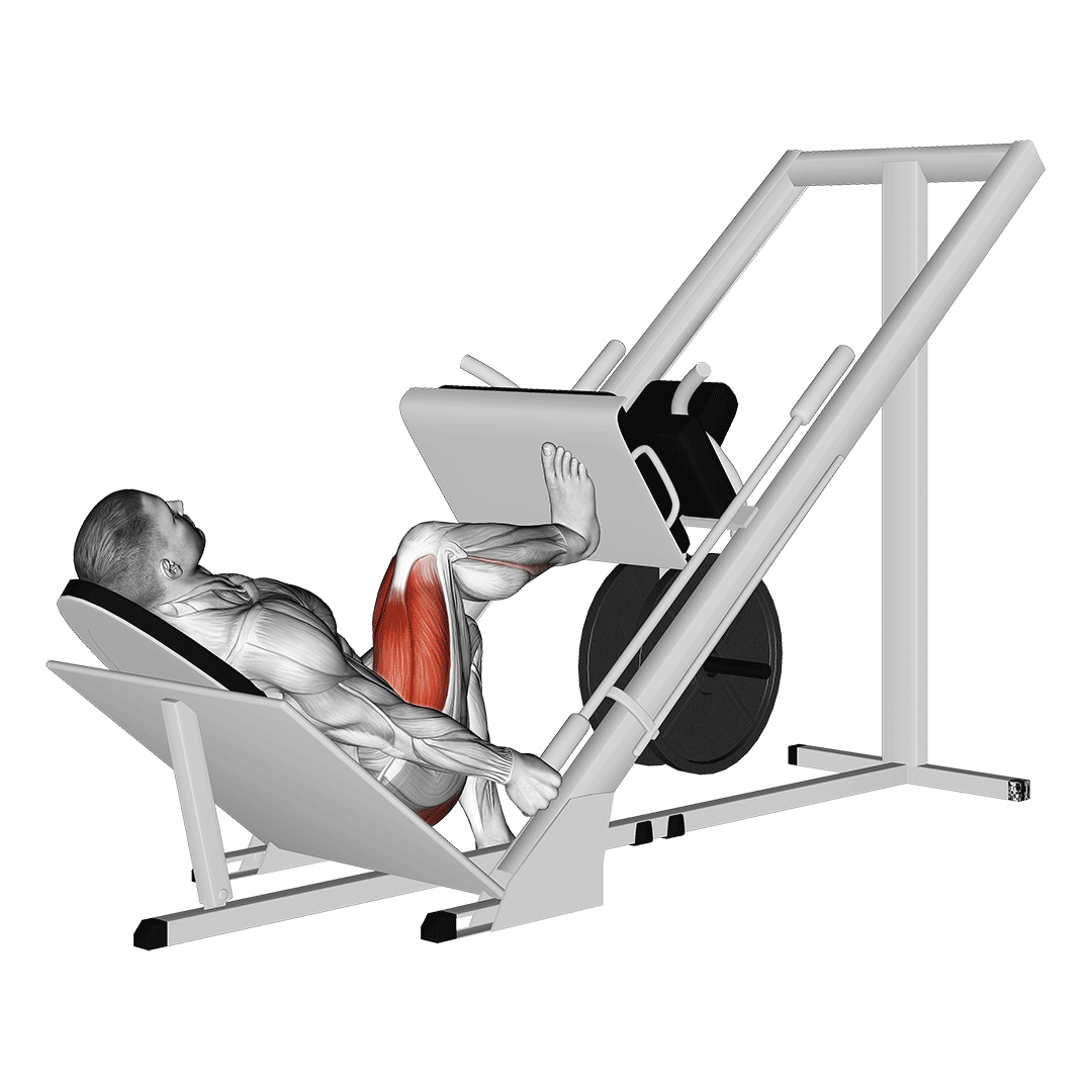 پرس پا تکپا (Single Leg Press) — حرکت چهارسر ران (آموزش تصویری)