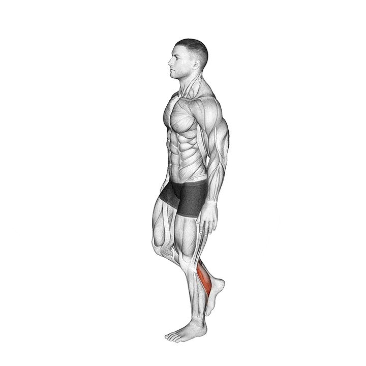 ساق پا ایستاده تک‌پا (Single Leg Standing Calf Raise) — حرکت ساق (آموزش تصویری)
