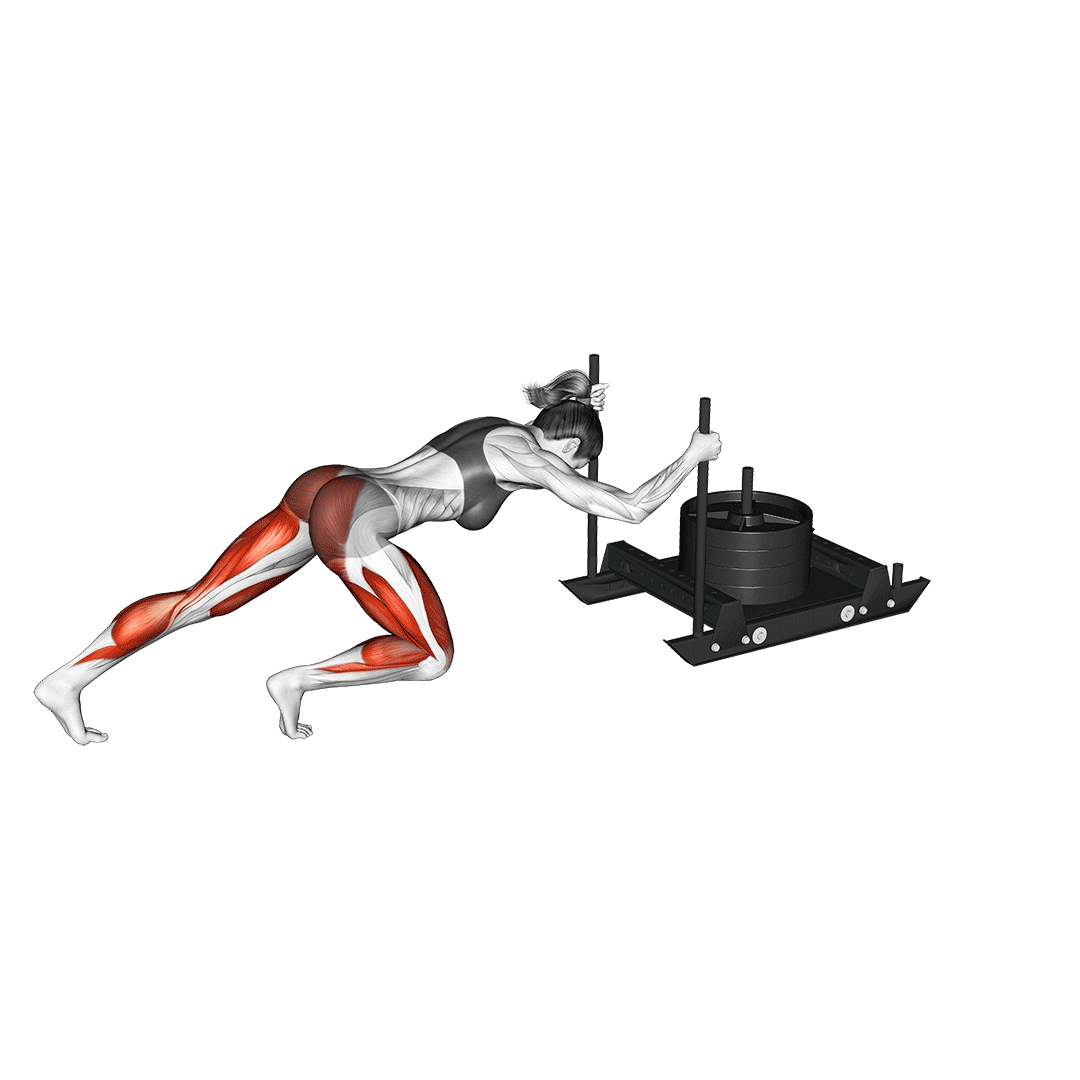 هل دادن سورتمه (Sled Push Muscles) — حرکت کل بدن (آموزش تصویری)