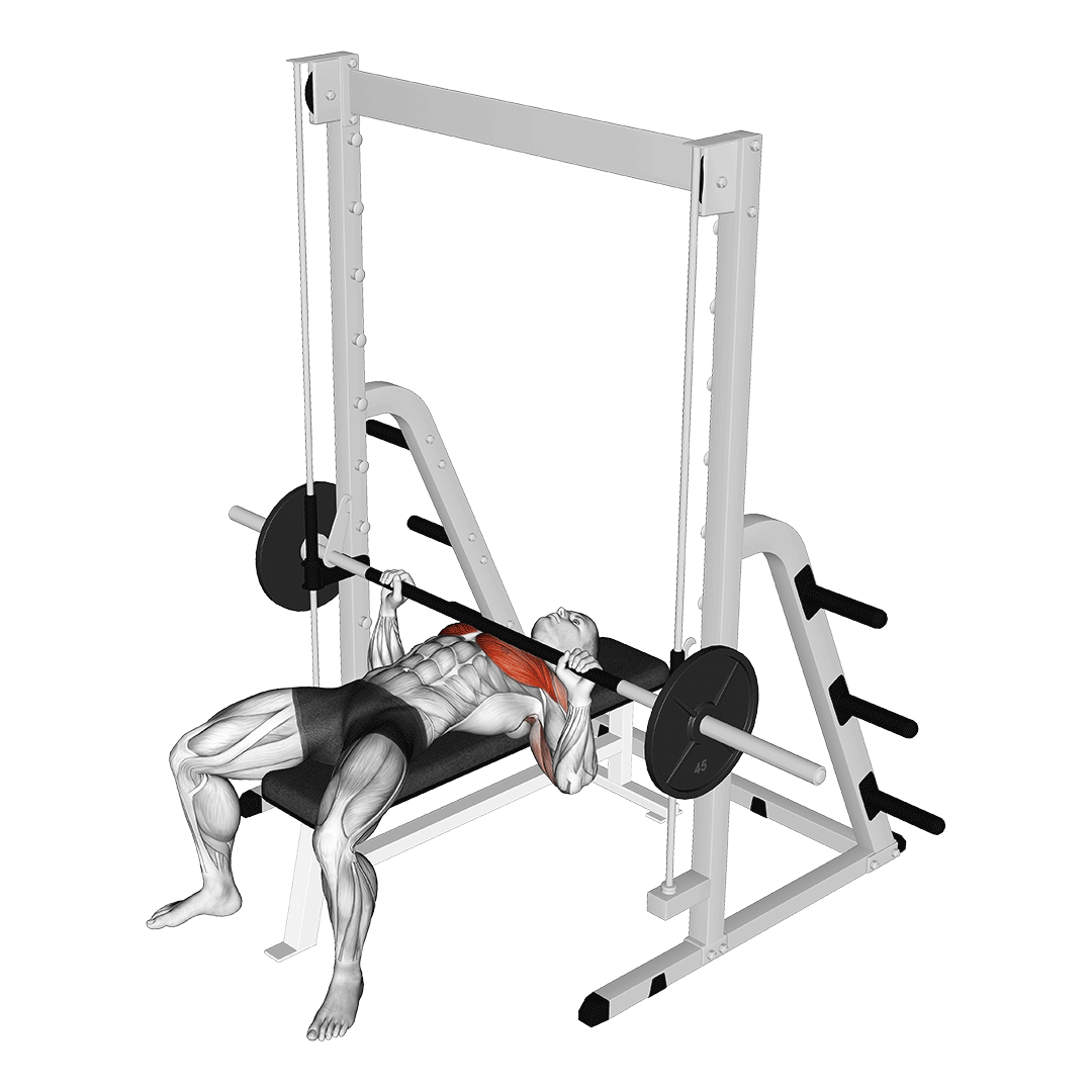 پرس سینه اسمیت (Smith Machine Bench Press) — حرکت سینه (آموزش تصویری)