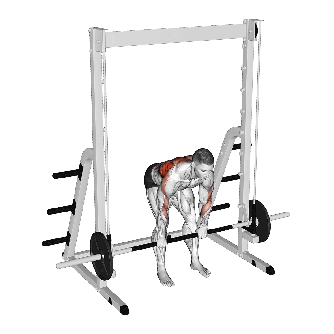 زیربغل خم اسمیت (Smith Machine Bent Over Row) — حرکت زیربغل (آموزش تصویری)