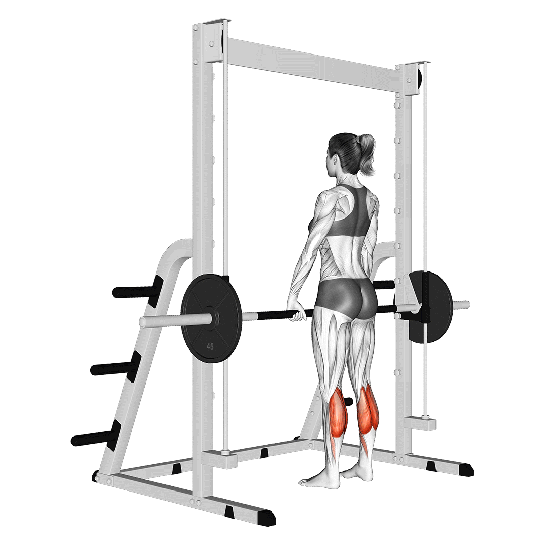 ساق پا ایستاده اسمیت (Smith Machine Calf Raise) — حرکت ساق (آموزش تصویری)