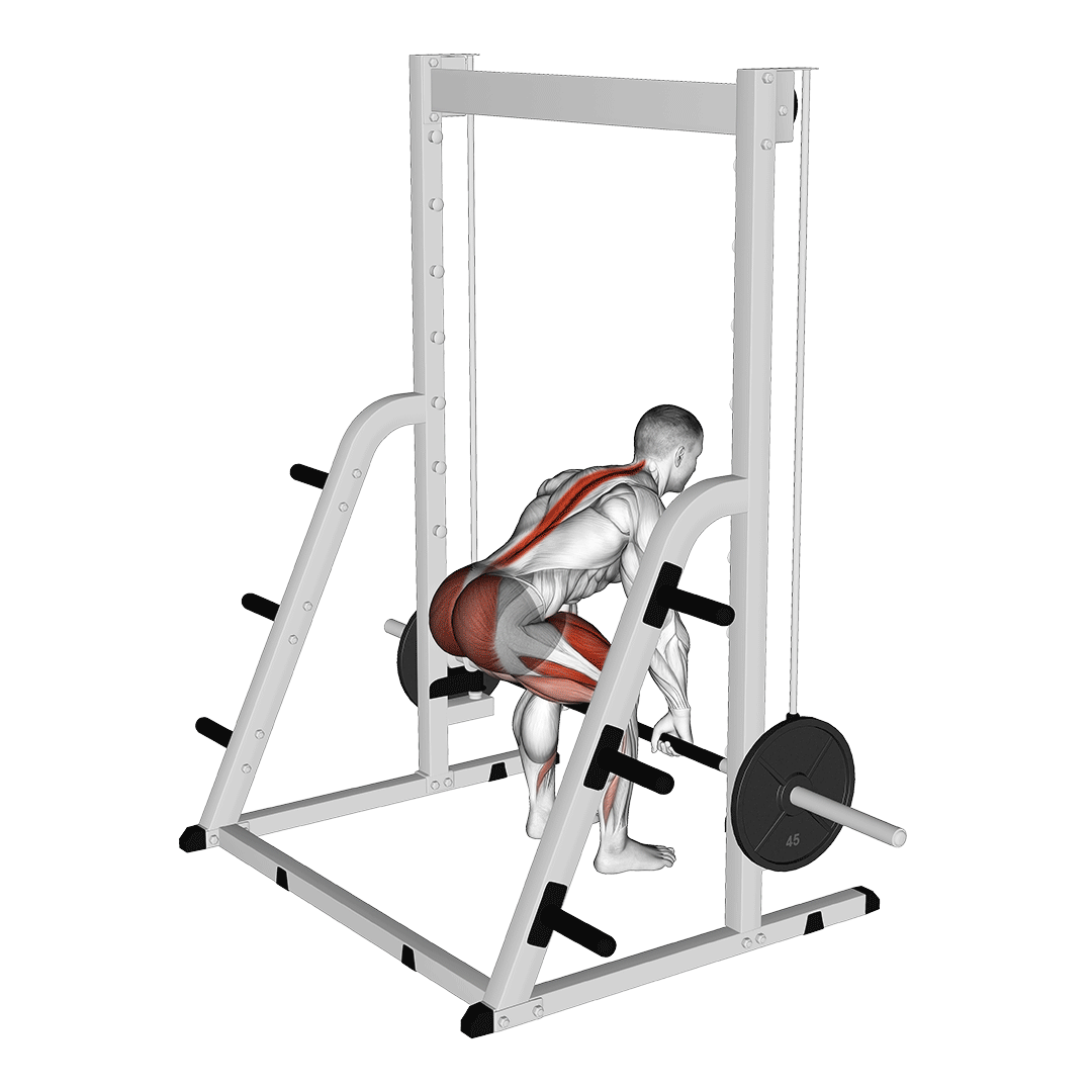 ددلیفت اسمیت (Smith Machine Deadlift) — حرکت پشت (آموزش تصویری)