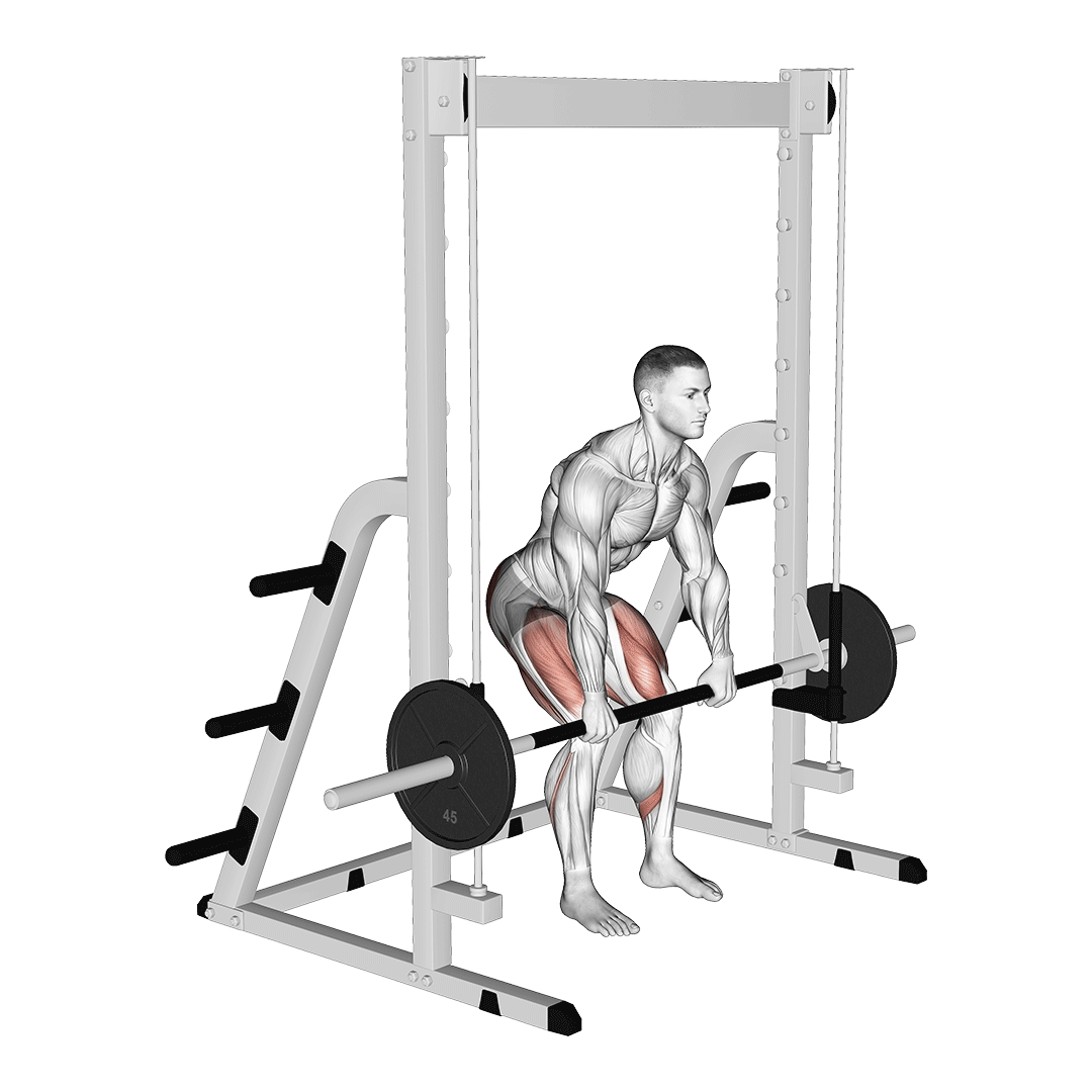 رک پول اسمیت (Smith Machine Rack Pull) — حرکت فیله (آموزش تصویری)