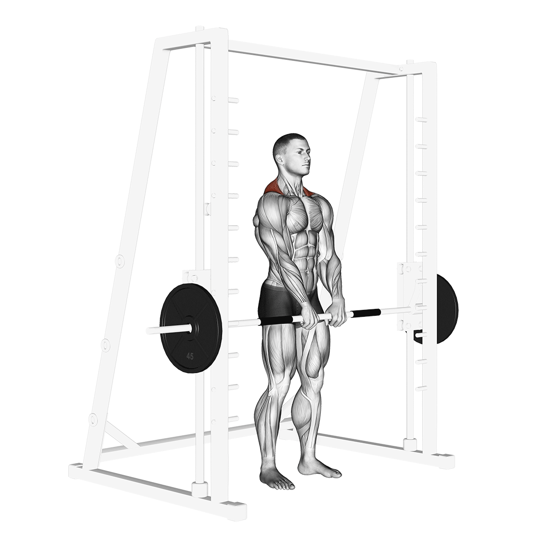 شراگ اسمیت (Smith Machine Shrug) — حرکت سرشانه (آموزش تصویری)