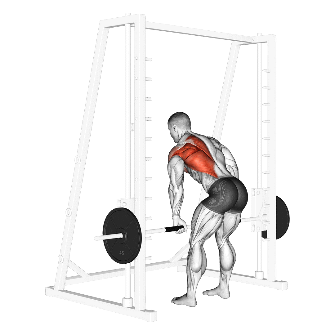 زیربغل تک‌خم اسمیت (Smith Machine Single Arm Row) — حرکت زیربغل (آموزش تصویری)