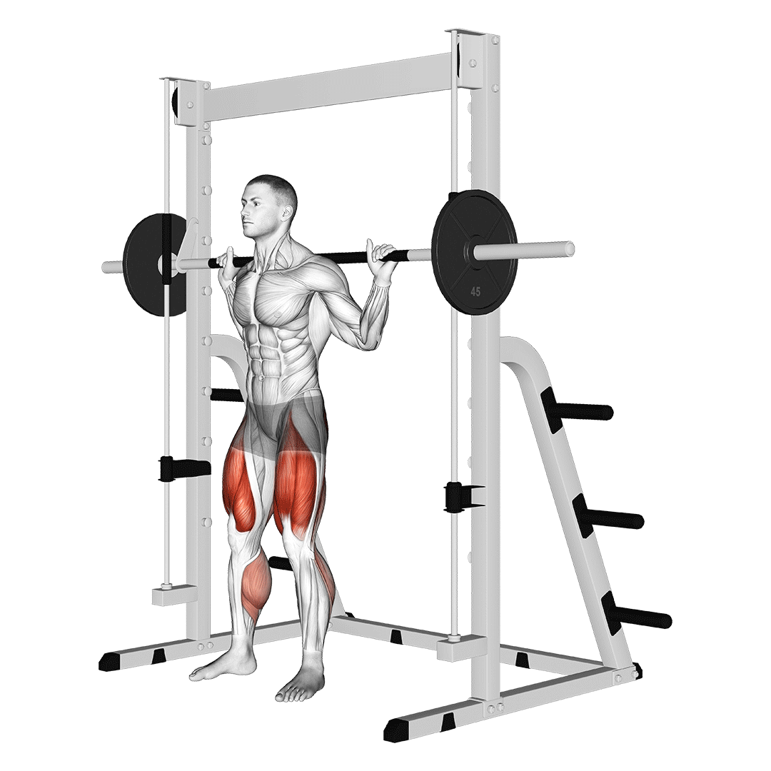 اسکوات اسمیت (Smith Machine Squat Benefits) — حرکت چهارسر (آموزش تصویری)