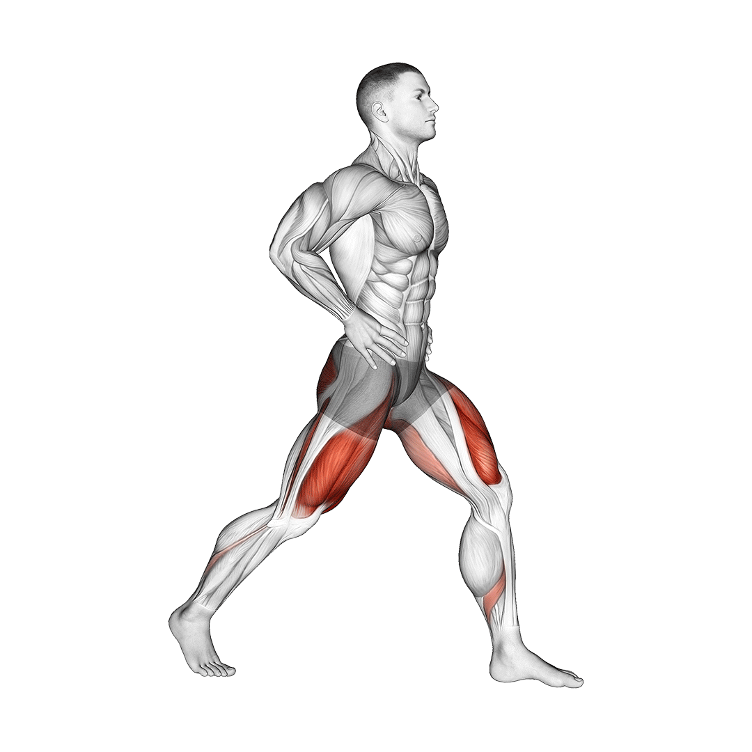 اسکوات پا باز (Split Squat) — حرکت چهارسر ران (آموزش تصویری)