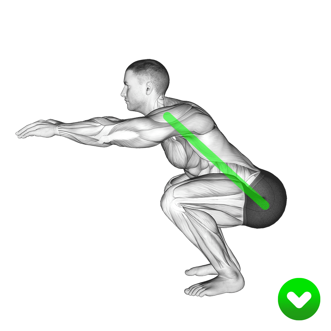 خطای قوس کمر در اسکوات (Squat Back Wrong) — حرکت چهارسر (آموزش تصویری)