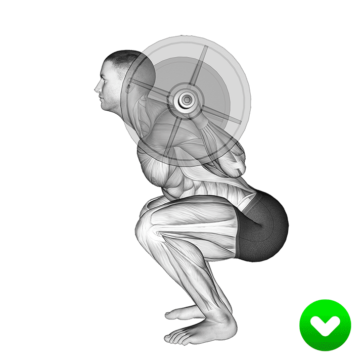 خطای بالا بودن باسن در اسکوات (Squat Hips Too High) — حرکت چهارسر (آموزش تصویری)