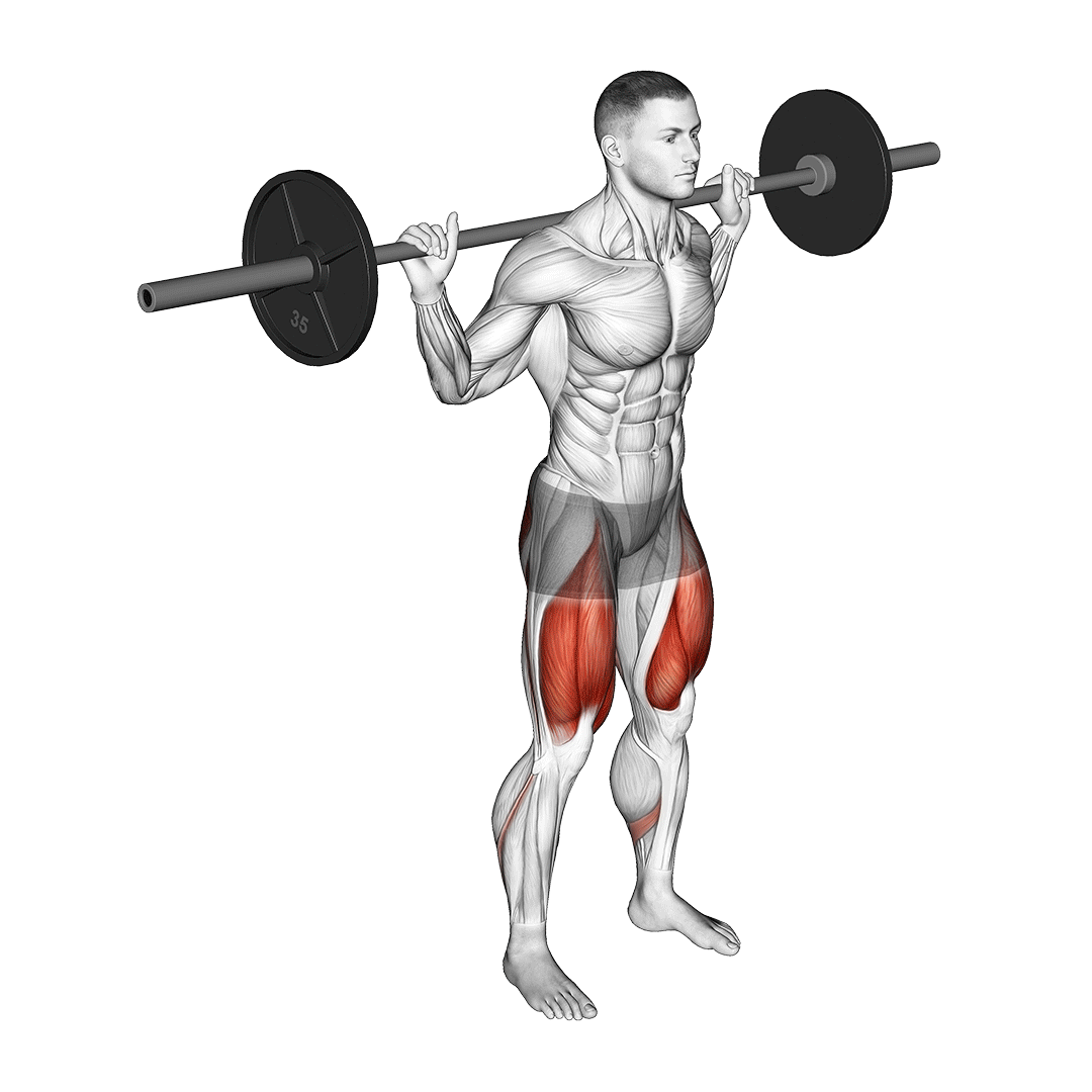 اسکوات با مکث ۲ ثانیه‌ای (Squat Hold 2 Seconds) — حرکت چهارسر (آموزش تصویری)